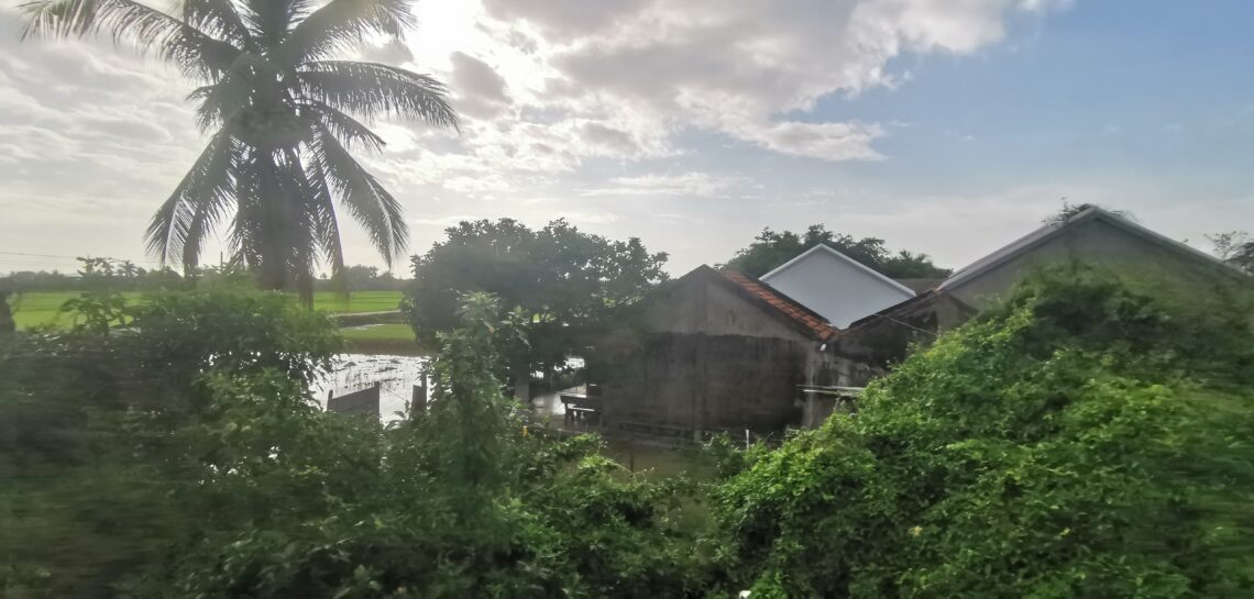 View from the train