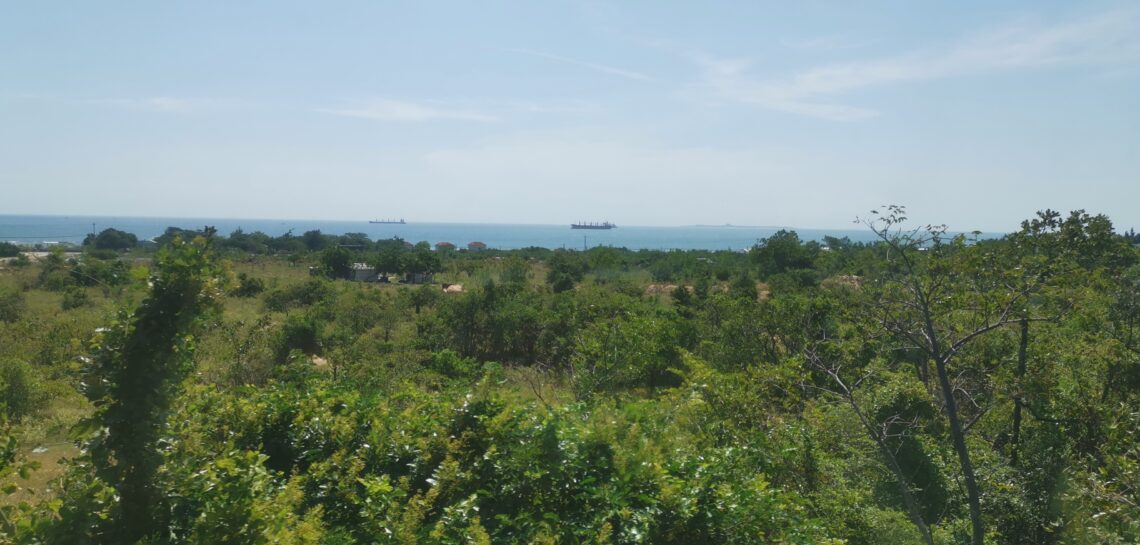 View from the train: Ocean in the background